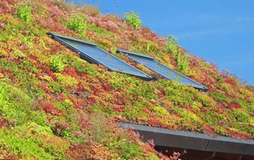 Collin living roof systems