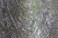 Collin fibreglass roof work